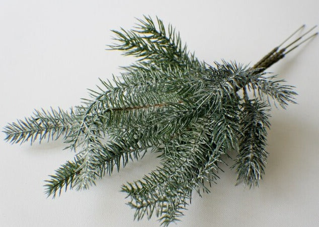 BLUE FINGER PINE | BUNDLE SM