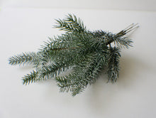 Load image into Gallery viewer, BLUE FINGER PINE STEMS

