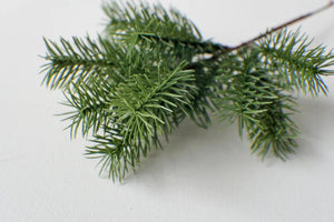 PINE PICK
