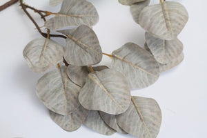 EUCALYPTUS SILVER DOLLAR | GARLAND