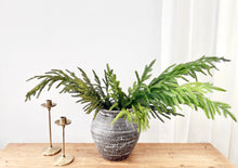 Load image into Gallery viewer, NORFOLK | BRANCH
