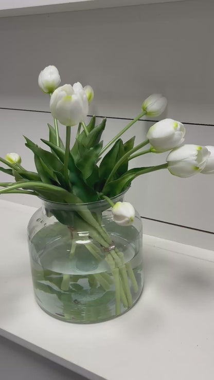 TULIPS | WHITE