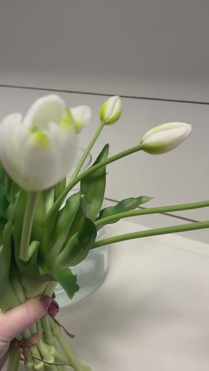 TULIPS | WHITE