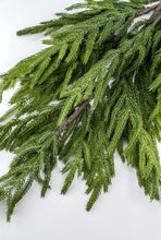 Load image into Gallery viewer, NORFOLK | BRANCH
