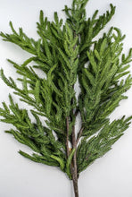 Load image into Gallery viewer, NORFOLK | BRANCH
