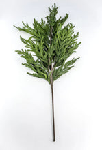 Load image into Gallery viewer, NORFOLK | BRANCH
