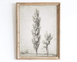 Vintage Rustic Tree Sketch Landscape Nature Art Print VP03