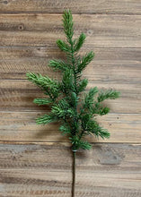 Load image into Gallery viewer, NORWAY SPRUCE BRANCH
