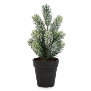 PINE TREE | POT