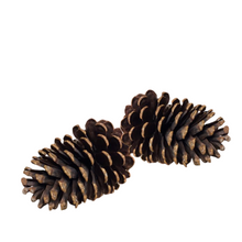 Load image into Gallery viewer, LARGE PINE CONE
