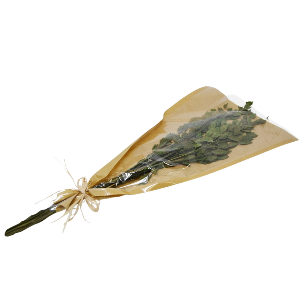 BOUQUET | DRIED GREENS