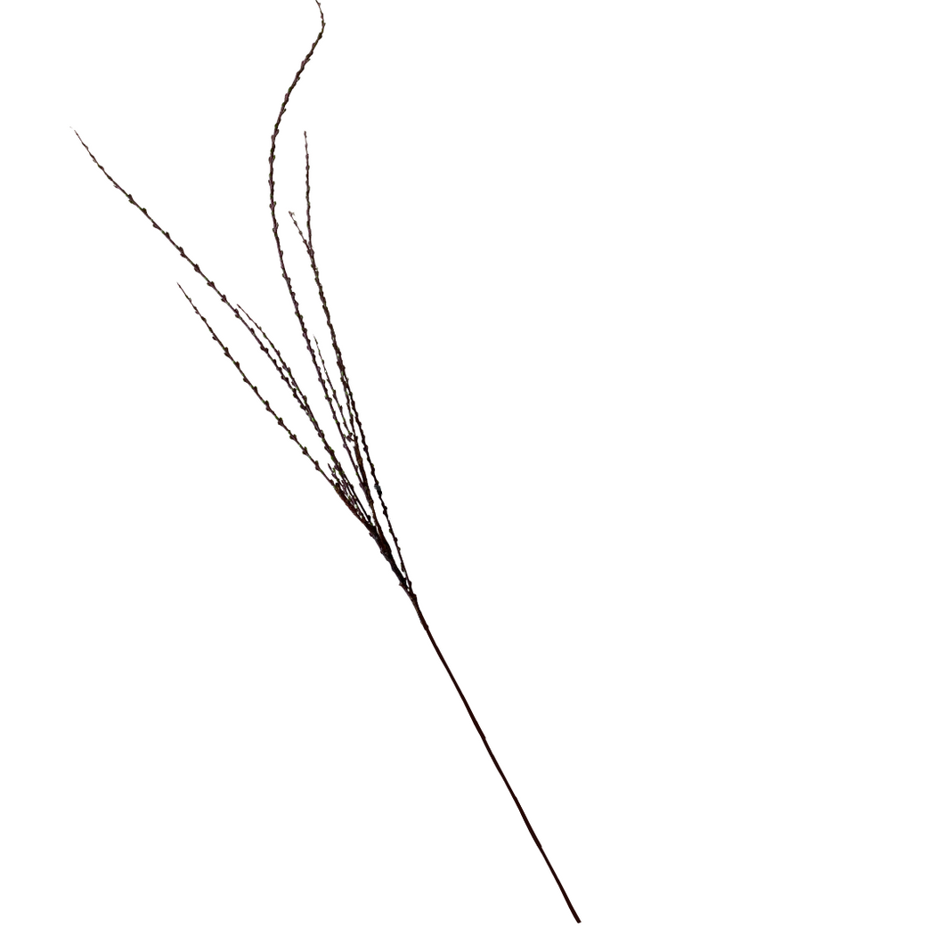 WILLOW TWIG