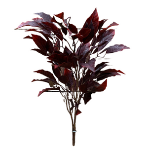 BURGUNDY FICUS BRANCHES