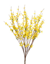 Load image into Gallery viewer, FORSYTHIA SPRAY BUNDLE
