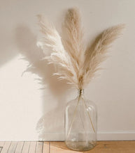 Load image into Gallery viewer, PAMPAS GRASS
